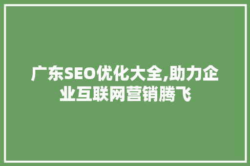 广东SEO优化大全,助力企业互联网营销腾飞
