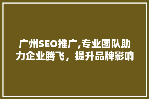 广州SEO推广,专业团队助力企业腾飞，提升品牌影响力