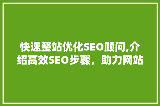 快速整站优化SEO顾问,介绍高效SEO步骤，助力网站提升排名