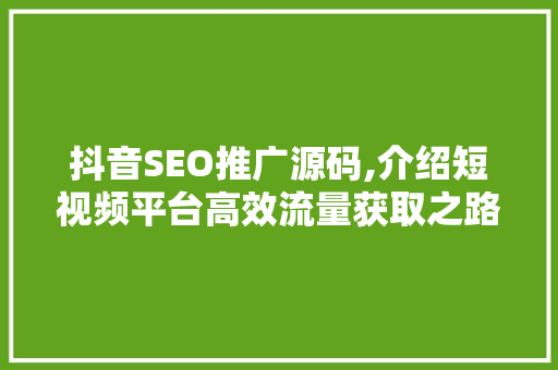 抖音SEO推广源码,介绍短视频平台高效流量获取之路