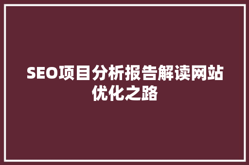 SEO项目分析报告解读网站优化之路