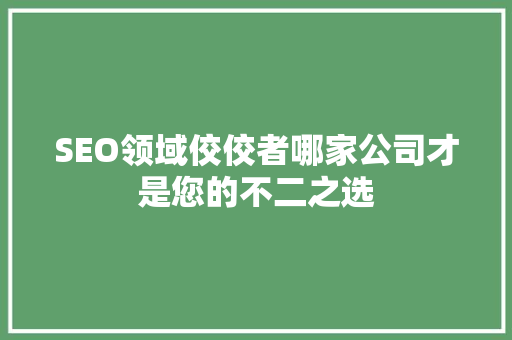 SEO领域佼佼者哪家公司才是您的不二之选