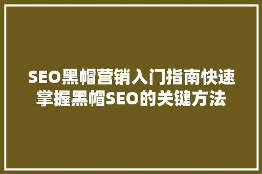 SEO黑帽营销入门指南快速掌握黑帽SEO的关键方法  第1张