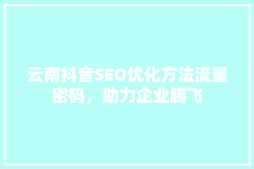 云南抖音SEO优化方法流量密码，助力企业腾飞