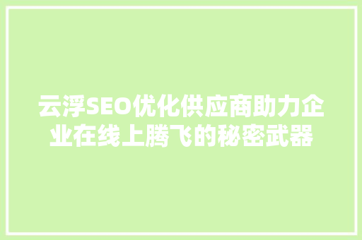 云浮SEO优化供应商助力企业在线上腾飞的秘密武器