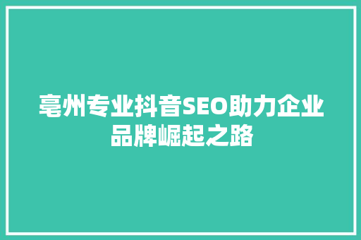 亳州专业抖音SEO助力企业品牌崛起之路