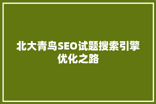 北大青鸟SEO试题搜索引擎优化之路