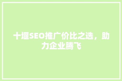十堰SEO推广价比之选，助力企业腾飞