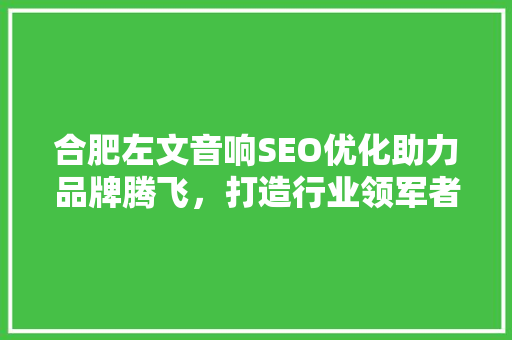 合肥左文音响SEO优化助力品牌腾飞，打造行业领军者