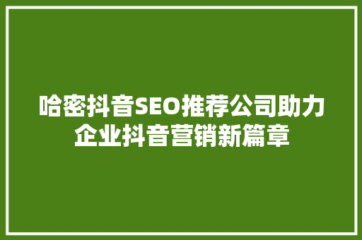 哈密抖音SEO推荐公司助力企业抖音营销新篇章