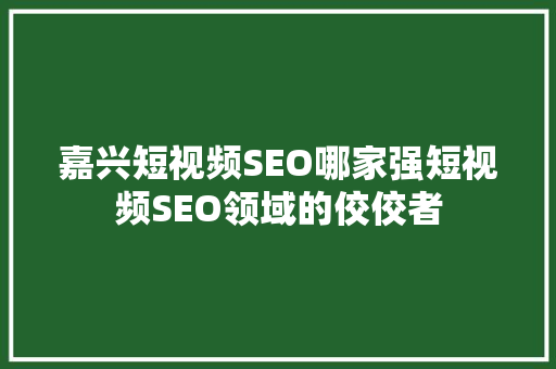嘉兴短视频SEO哪家强短视频SEO领域的佼佼者