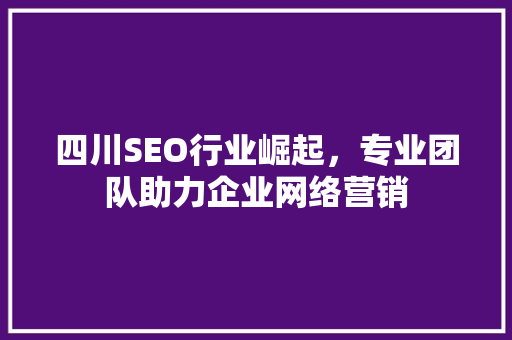 四川SEO行业崛起，专业团队助力企业网络营销
