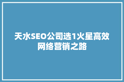 天水SEO公司选1火星高效网络营销之路