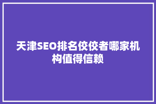天津SEO排名佼佼者哪家机构值得信赖