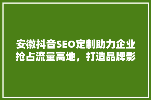 安徽抖音SEO定制助力企业抢占流量高地，打造品牌影响力