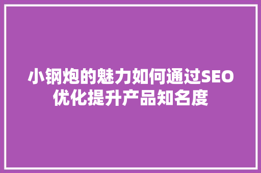 小钢炮的魅力如何通过SEO优化提升产品知名度