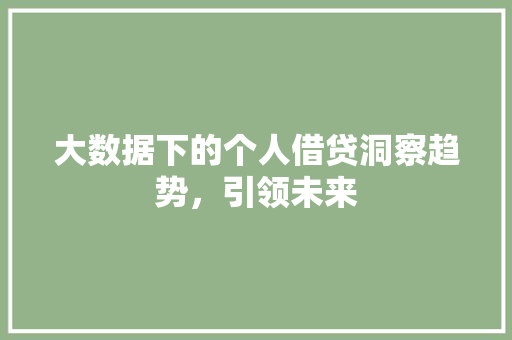 大数据下的个人借贷洞察趋势，引领未来  第1张