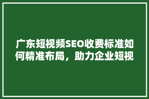 广东短视频SEO收费标准如何精准布局，助力企业短视频营销