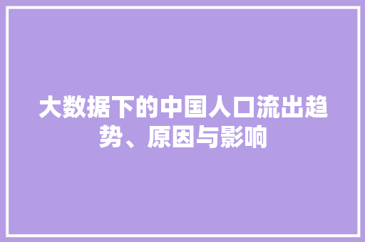 大数据下的中国人口流出趋势、原因与影响  第1张