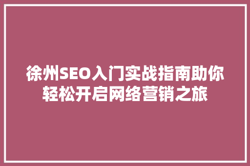 徐州SEO入门实战指南助你轻松开启网络营销之旅