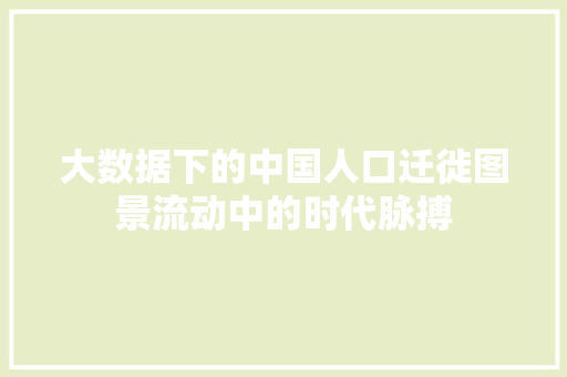 大数据下的中国人口迁徙图景流动中的时代脉搏  第1张