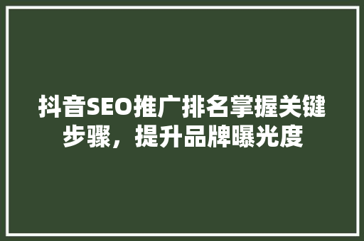 抖音SEO推广排名掌握关键步骤，提升品牌曝光度