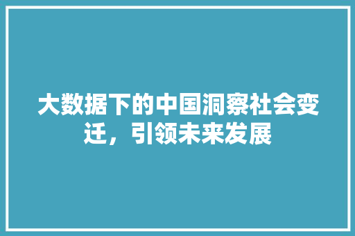 大数据下的中国洞察社会变迁，引领未来发展  第1张