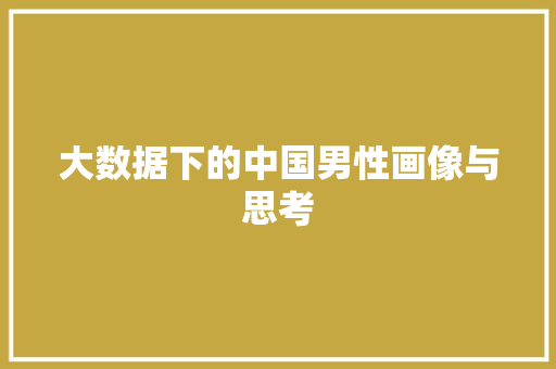 大数据下的中国男性画像与思考  第1张