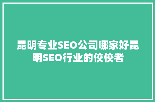 昆明专业SEO公司哪家好昆明SEO行业的佼佼者