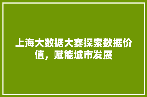 上海大数据大赛探索数据价值，赋能城市发展