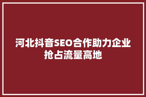河北抖音SEO合作助力企业抢占流量高地