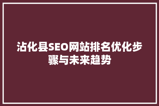沾化县SEO网站排名优化步骤与未来趋势
