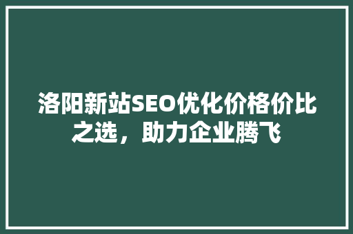 洛阳新站SEO优化价格价比之选，助力企业腾飞