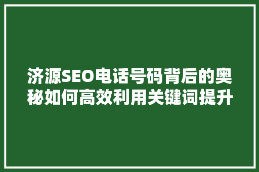 济源SEO电话号码背后的奥秘如何高效利用关键词提升网站排名