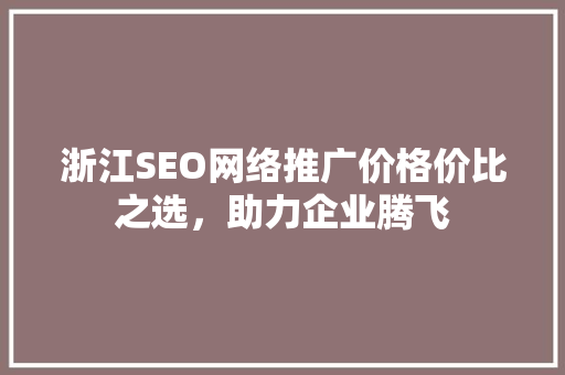 浙江SEO网络推广价格价比之选，助力企业腾飞