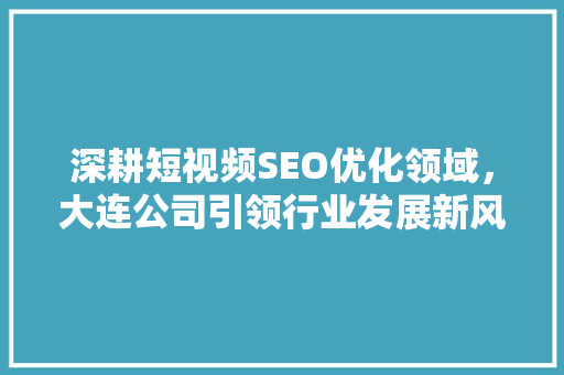 深耕短视频SEO优化领域，大连公司引领行业发展新风向
