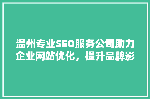 温州专业SEO服务公司助力企业网站优化，提升品牌影响力