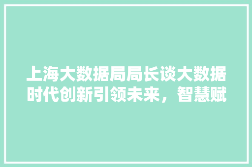 上海大数据局局长谈大数据时代创新引领未来，智慧赋能城市发展