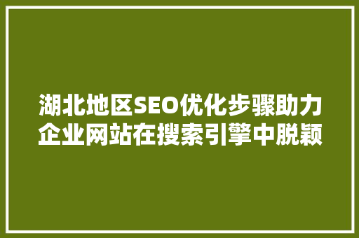 湖北地区SEO优化步骤助力企业网站在搜索引擎中脱颖而出