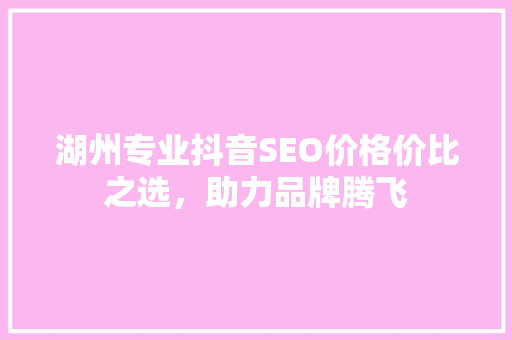 湖州专业抖音SEO价格价比之选，助力品牌腾飞