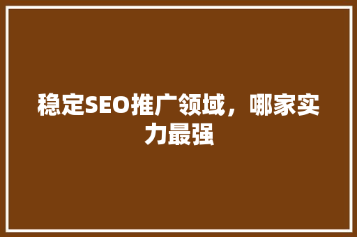 稳定SEO推广领域，哪家实力最强