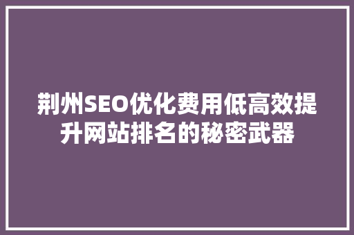 荆州SEO优化费用低高效提升网站排名的秘密武器