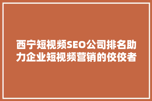 西宁短视频SEO公司排名助力企业短视频营销的佼佼者