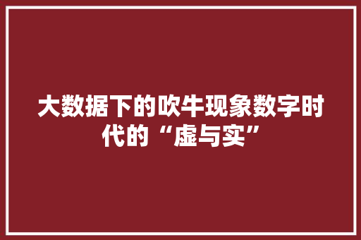 大数据下的吹牛现象数字时代的“虚与实”