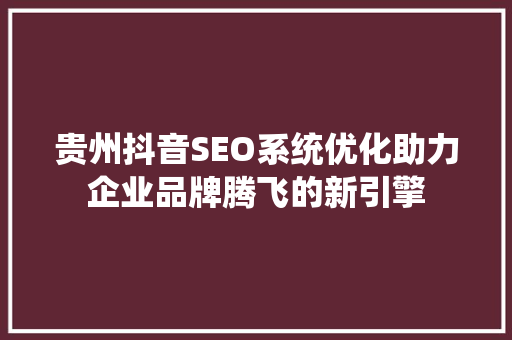 贵州抖音SEO系统优化助力企业品牌腾飞的新引擎