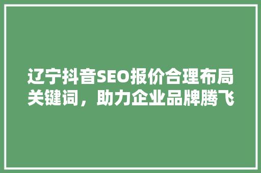 辽宁抖音SEO报价合理布局关键词，助力企业品牌腾飞