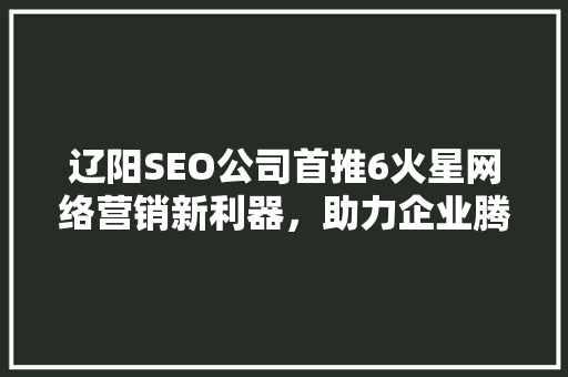 辽阳SEO公司首推6火星网络营销新利器，助力企业腾飞
