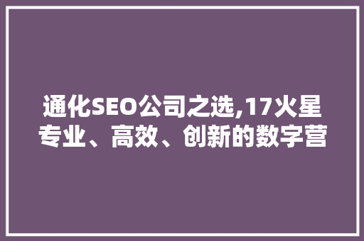 通化SEO公司之选,17火星专业、高效、创新的数字营销伙伴