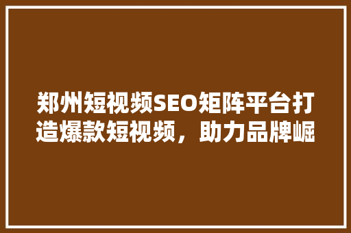郑州短视频SEO矩阵平台打造爆款短视频，助力品牌崛起