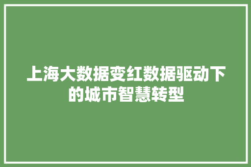 上海大数据变红数据驱动下的城市智慧转型